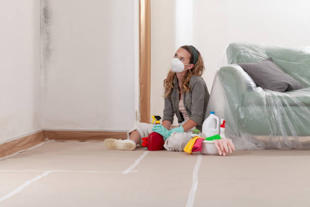 Reliable Mold Cleanup contractor in Angier, NC by Cheap Mold Removal